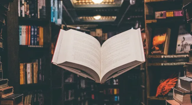 Docker Volumes for Persistent Storage