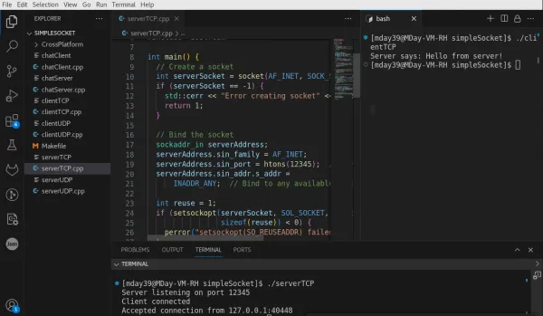 Network Sockets in C++